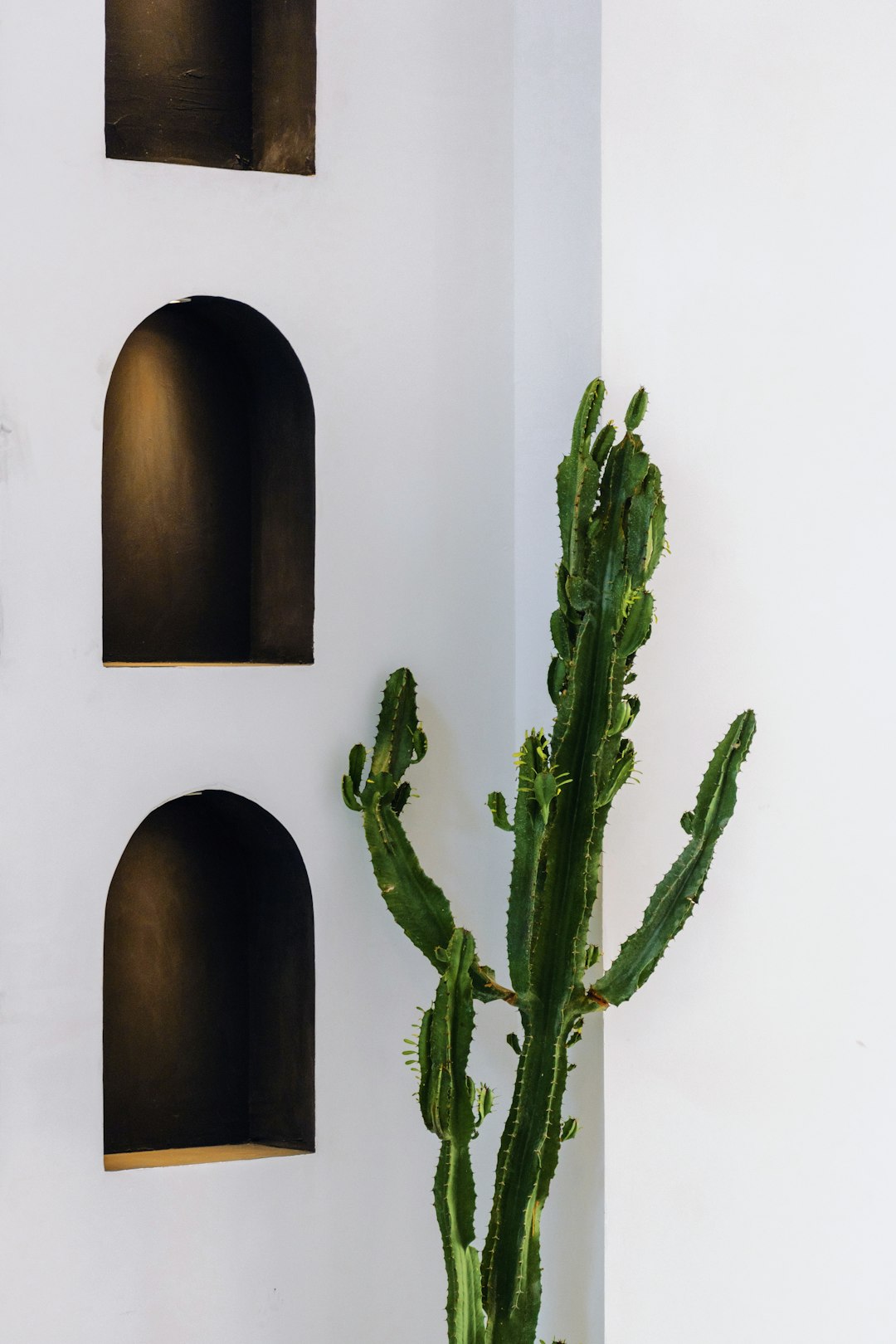 decoración minimalista imagen 3